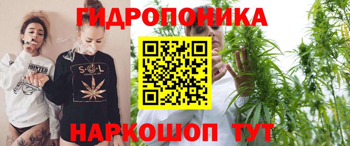 Южноуральск  Каннабис гибрид  Вход с VPN  Бошки марихуана сатива  Канабис SATIVA & INDICA 